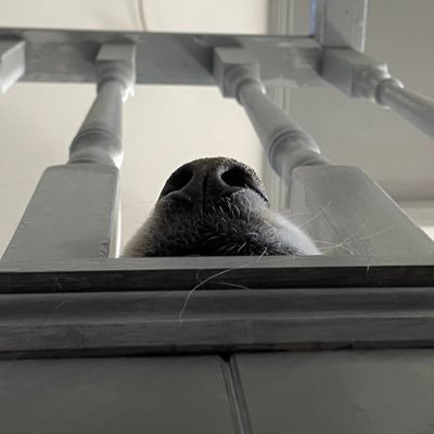 TonyTighe94's profile picture. Journalist/producer @SkySports