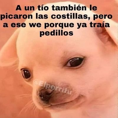 Samuelc46283781's profile picture. 