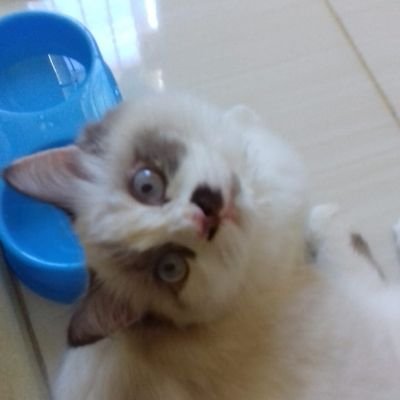 SalmAyyub's profile picture. Half diary. Half wisely mind, sometimes. :)