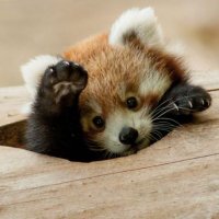 Name Cannot be Blank (@1888myre) Twitter profile photo