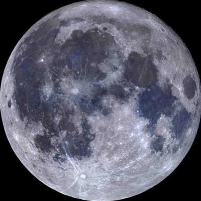 2253_12's profile picture. 