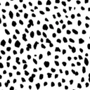 Mia Hubert - @MiaHubert7 - Twitter