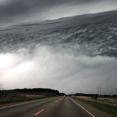 ayed_7075's profile picture. 