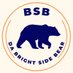 BrightSideBears