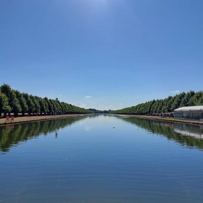 StuartElleray's profile picture. Love a brielliant cheesy pun.