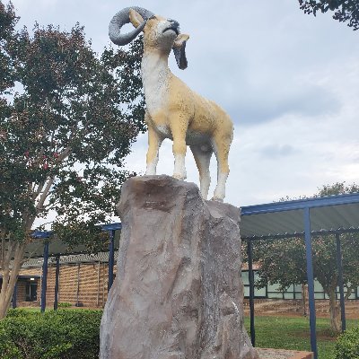 *** HOME OF THE RAMS ***