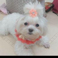 冰 (@bng39357819) Twitter profile photo