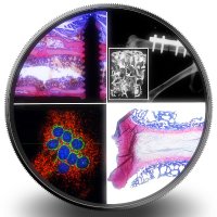Bone & Joint Program DBMR (@teqneobenjamin) 's Twitter Profile