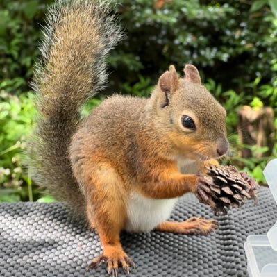 wakasho351's profile picture. 