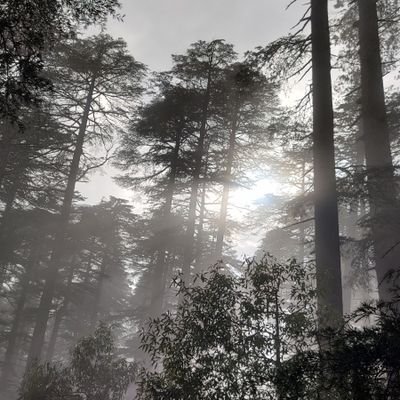 VipanKu12333766's profile picture. 