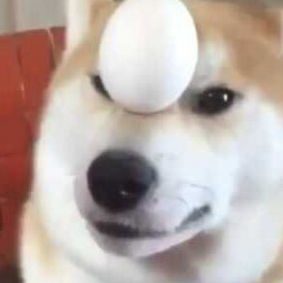 TheGamingDoge69 Profile Picture