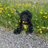 Neil Whitelaw (@neilwhitelaw14) 's Twitter Profile Photo Neil Whitelaw (@neilwhitelaw14) 's Twitter Profile Photo