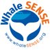 Whale SENSE (@whalesense) Twitter profile photo