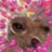 moonsoupstar_'s profile image