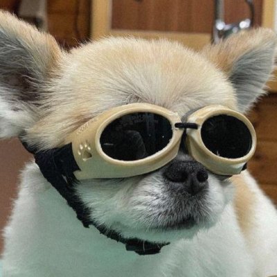 sava1389's profile picture. 