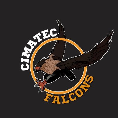 CIMATEC Falcons