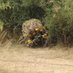 wookie (@airsoft_wookie1) Twitter profile photo wookie (@airsoft_wookie1) Twitter profile photo