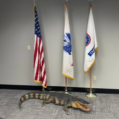 Dwaynerob1D's profile picture. Casual observer