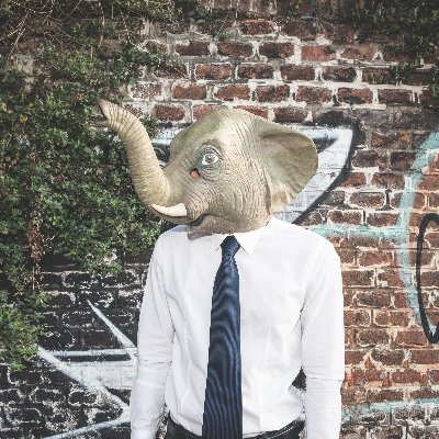 Republican\Libertarian🇺🇲 
Business Owner 
Anon because the left is crazy
Elephant in the room? 2020 was rigged