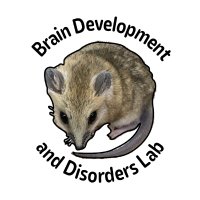 Brain Development and Disorders Lab (@ccd_research) 's Twitter Profile Photo Brain Development and Disorders Lab (@ccd_research) 's Twitter Profile Photo
