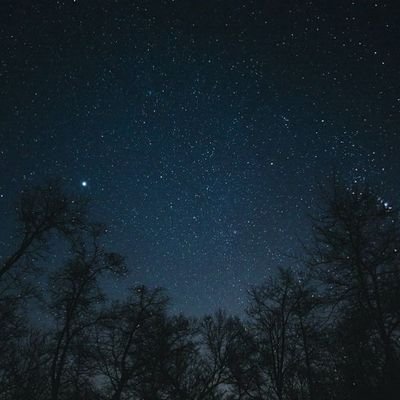 _an775_'s profile picture. 