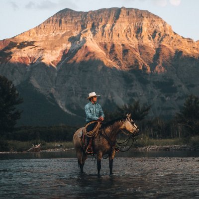 ivanovi4igor1's profile picture. I like BTC and ETH and riding horses⚙️ 
#Mintsquare