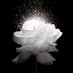 Babita Jain (@babitaj17138017) Twitter profile photo Babita Jain (@babitaj17138017) Twitter profile photo