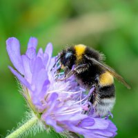 Hawthorns Outdoor Education (@hts_outdoorsed) 's Twitter Profile Photo Hawthorns Outdoor Education (@hts_outdoorsed) 's Twitter Profile Photo