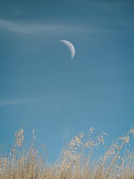 Jagad_Subbara's profile picture. 