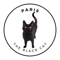 Paris The Black Cat 🐈‍⬛(@ParisTheBlackC1) 's Twitter Profile Photo