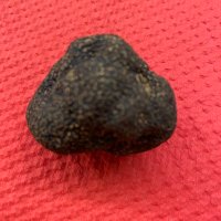 Xtotoxrex (@xtotoxrex) 's Twitter Profile