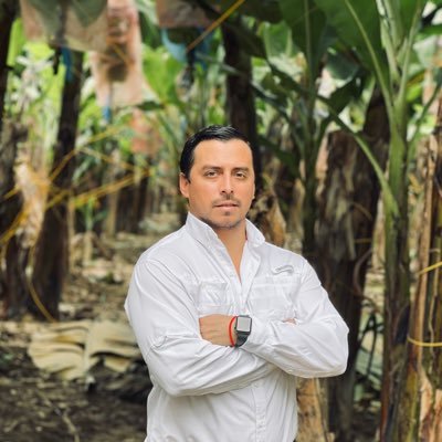Ecuador Banana producer and exporter. Cellphone: +593999423369 email: gerencia@hugofruit.com wechat: hugo_ginafruit