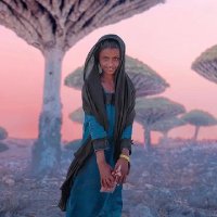 العقيد فهمي عبدالعزيز العريقي (@qydbdal) 's Twitter Profile