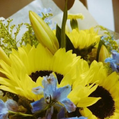 hiroko18601672's profile picture. 
