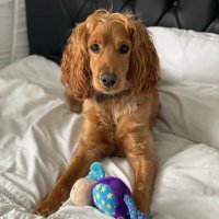 MURPHY (@murphy85859000) Twitter profile photo
