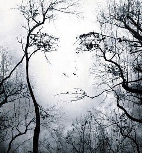 A day dreamer and a night thinker..!!!