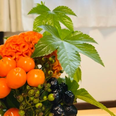 KmmGlmO12AlLenh's profile picture. b-monsterアカウント🥊 🥊2023/3月 🧜‍♀️色々な人を受けていきたいです。🤡🍍🐧🦭💪