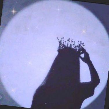 Shooshy20's profile picture. 