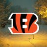 Matthew_Sarge's profile picture. Huge Cincinnati Bengals fan. Who Dey!