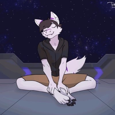 Welcome to the Puppy Zone! | 20 y/o | Bisexual | Furry 🐾 | 💜 | Cybersecurity Major | Tiktok, Twitch, Youtube Boi | 18+