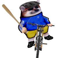 Lance Fella πΊπ²πΊπ¦ (@astrocyclist) 's Twitter Profile