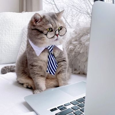 jusephortiz_'s profile picture. Software Engineer and Frontend developer.