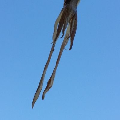 MINvsMI's profile picture. 