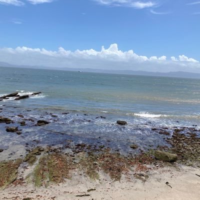 LRscience200's profile picture. 100歳まで元気で働くことを目指し活動。 最新の国内外長寿若返り科学を勉強中 祖母は現在103歳 最新国内外情報や自分が実践していることをつぶやきます 健康系食事、土日プチ断食 朝のウォーキング＋ラジオ体操、夕方のランニング＋ウォーキング、筋トレ他 NMN500mg、レスベラトロール600mg、TMG、クルクミンを常用