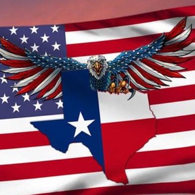 EBDTBB73's profile picture. Christian, Father, Husband, CFO, Gun Owner, Texan, American. Unvaxxed #TexasConservative | #ArticleV | #2A | #ComeAndTakeIt | #MAGA | #Texit