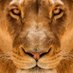 Ms.BORN FREE 🇨🇦🙏 (@littlemscujo) Twitter profile photo Ms.BORN FREE 🇨🇦🙏 (@littlemscujo) Twitter profile photo