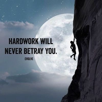 MRXNFT's profile picture. 