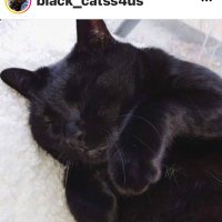 Brad schramm (@bal1260) 's Twitter Profile