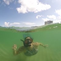 Heather Coggins (@hmcoggins) 's Twitter Profile