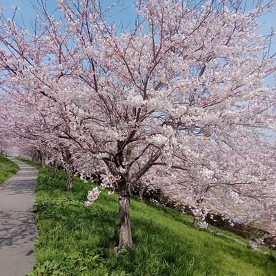 D9PtsPEZYVX7PAT's profile picture. 日本の歴史、文化、伝統を
大切にしています。
日本を日本人に取り戻す為
党派問わず保守政治家を応援!
目覚めよ　日本人!
平和ボケしている日本の安全保障の
現状に危機感あり！
憲法改正、スパイ防止法の早期実現！
反日議員、帰化議員、売国議員、に
日本の舵取りは✘
日本を貶める偏向報道
左派マスメディアは必要なし！